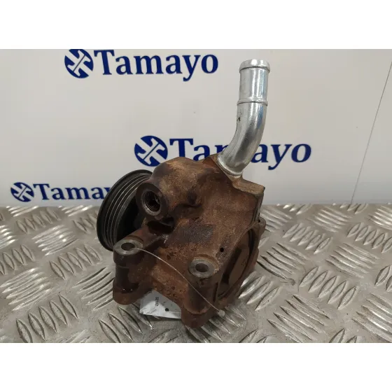 Bomba Direccion para Ford Fusion (Cbk)