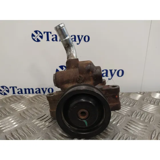 Bomba Direccion para Ford Fusion (Cbk)