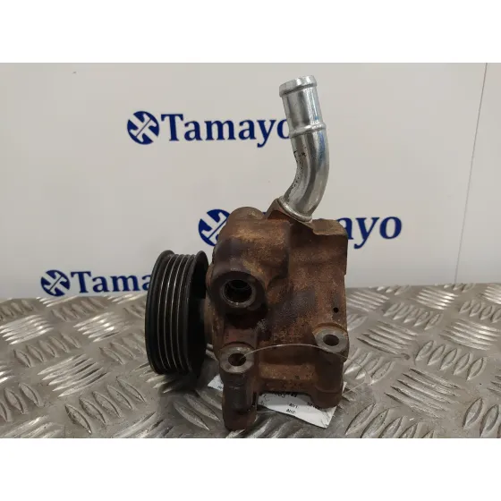Bomba Direccion para Ford Fusion (Cbk)