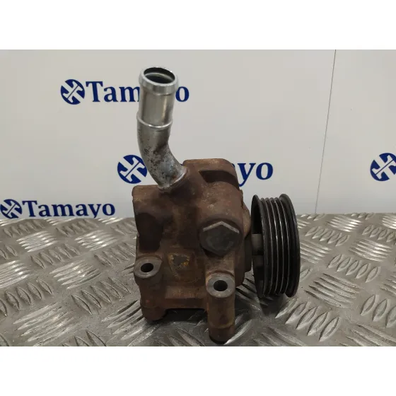 Bomba Direccion para Ford Fusion (Cbk)