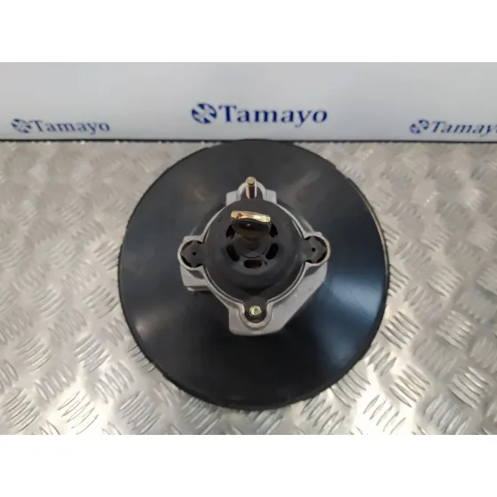 Servofreno para Bmw Mini (R50,R53)