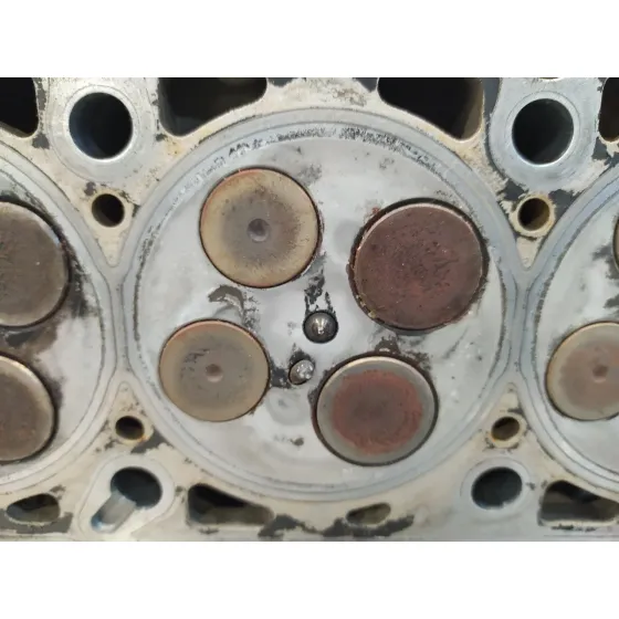 Culata para Audi A4 Berlina (8E)