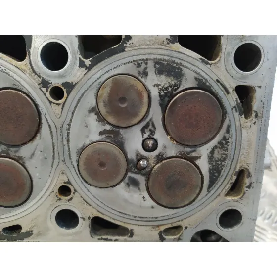 Culata para Audi A4 Berlina (8E)