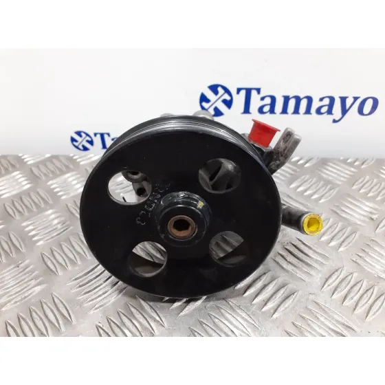 Bomba Direccion para Hyundai Tucson (Jm)