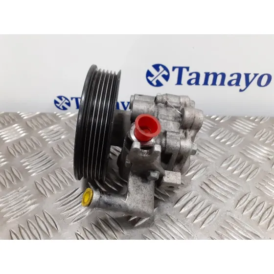 Bomba Direccion para Hyundai Tucson (Jm)
