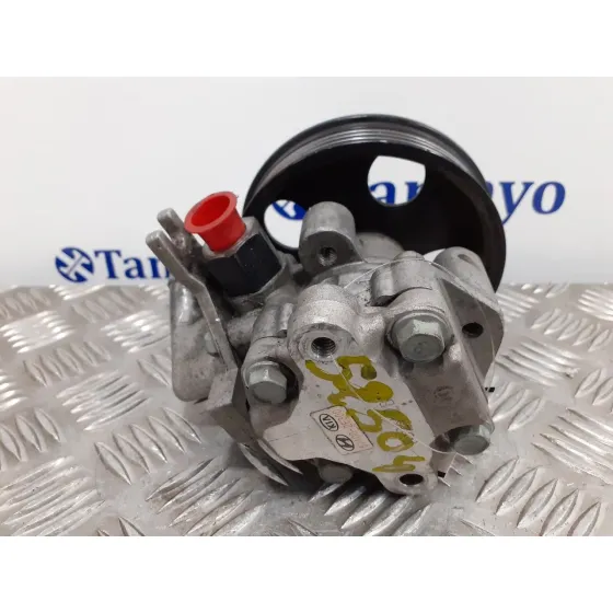 Bomba Direccion para Hyundai Tucson (Jm)