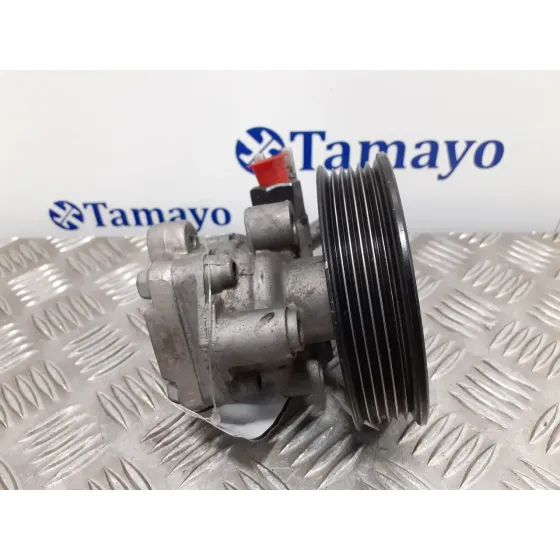 Bomba Direccion para Hyundai Tucson (Jm)