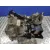 Caja Cambios para Ford Fiesta (Cb1)