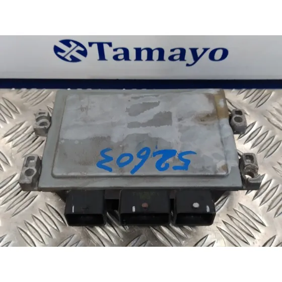 Centralita Motor Uce para Ford Fiesta (Cb1)