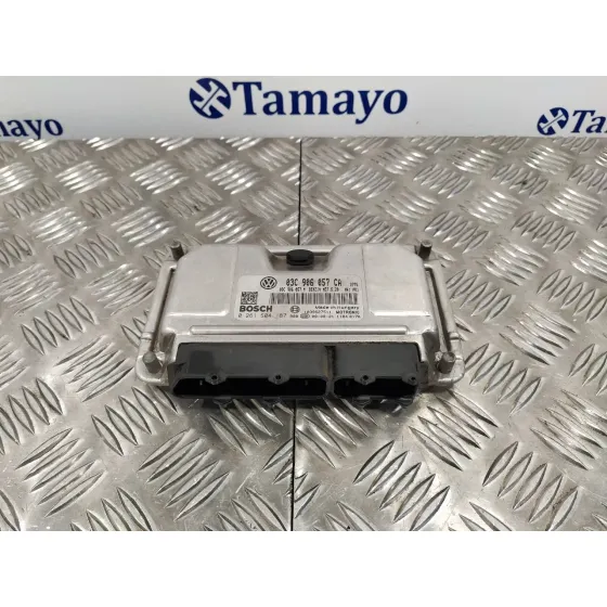 Centralita Motor Uce para Seat Ibiza (6J5)