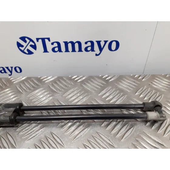 Amortiguadores Maletero / Porton para Smart Fortwo Coupe