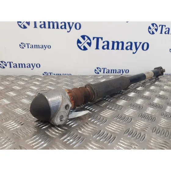 Amortiguador Trasero Derecho para Seat Ibiza St (6J8)