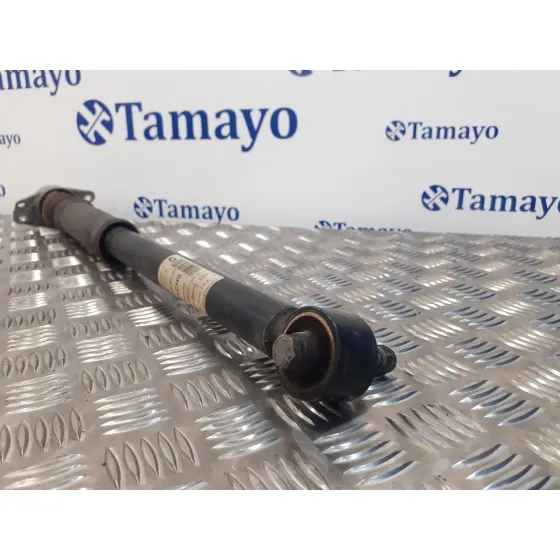 Amortiguador Trasero Derecho para Seat Ibiza St (6J8)