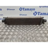 Intercooler para Fiat Bravo (198)