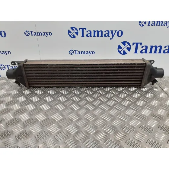 Intercooler para Fiat Bravo (198)