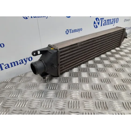 Intercooler para Fiat Bravo (198)