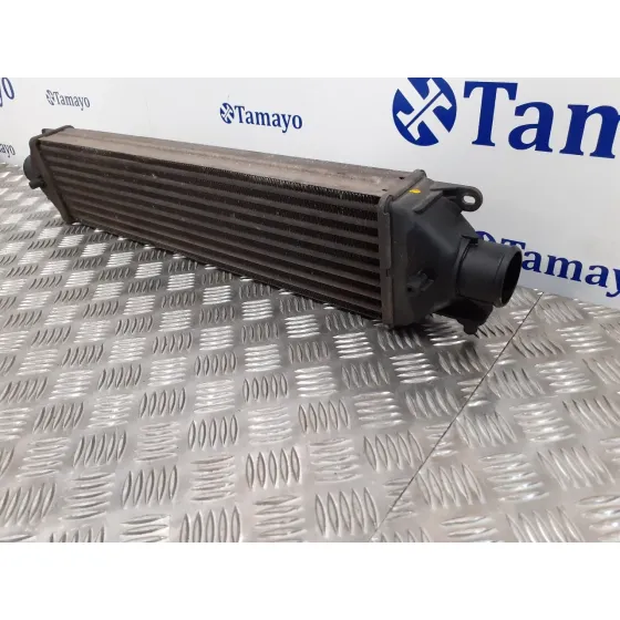 Intercooler para Fiat Bravo (198)