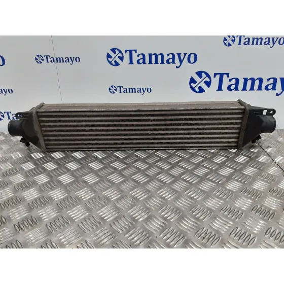 Intercooler para Fiat Bravo (198)