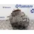 Caja Transfer para Toyota Rav 4 (A3)