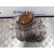 Caja Transfer para Toyota Rav 4 (A3)