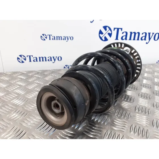 Amortiguador Delantero Izquierdo para Seat Ibiza Sc (6P5)