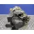Caja Cambios para Ford Fiesta (Cbk)