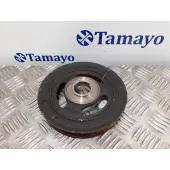 Polea Ciguenal para Peugeot 207