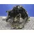 Caja Cambios para Audi A4 Berlina (8E)