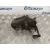 Pinza Freno Trasera Izquierda para Toyota Prius (Nhw30)