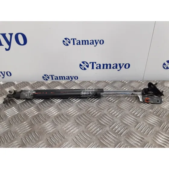 Amortiguadores Capo para Subaru Forester S12