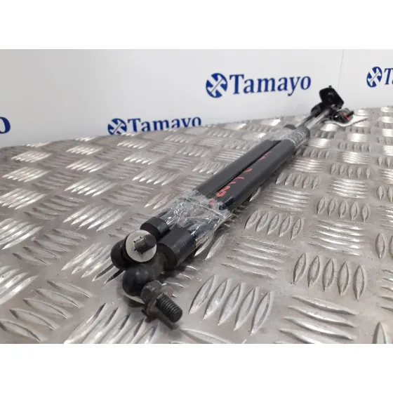Amortiguadores Capo para Subaru Forester S12
