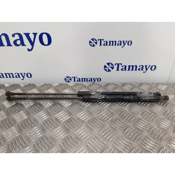 Amortiguadores Maletero / Porton para Toyota Prius (Nhw30)
