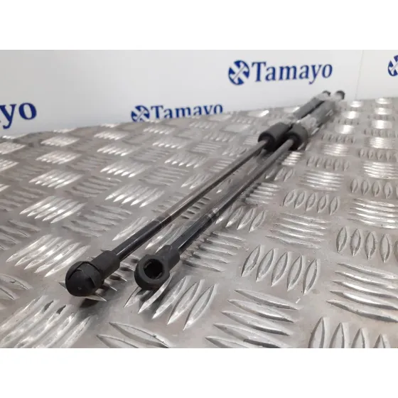 Amortiguadores Maletero / Porton para Toyota Prius (Nhw30)