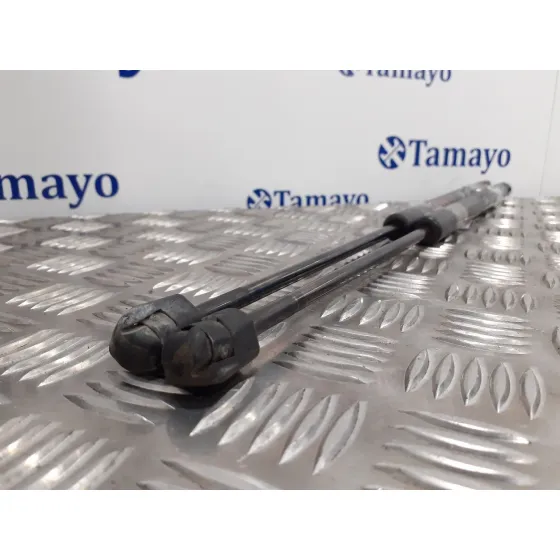 Amortiguadores Maletero / Porton para Hyundai Tucson (Jm)