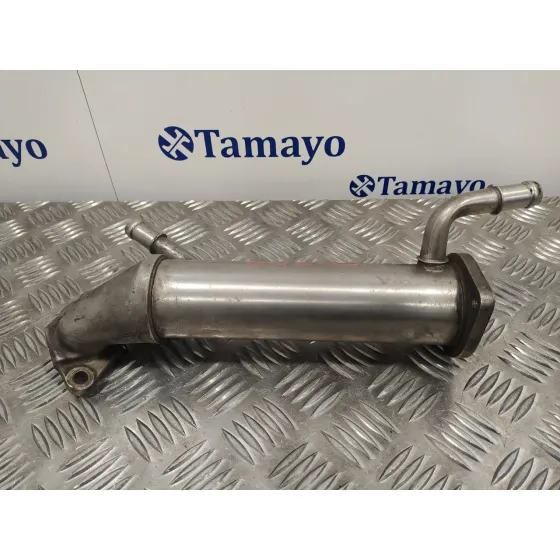 Enfriador Egr para Ford Transit Combi '06