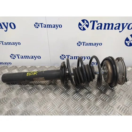 Amortiguador Delantero Derecho para Bmw Serie 3 Berlina (E90)