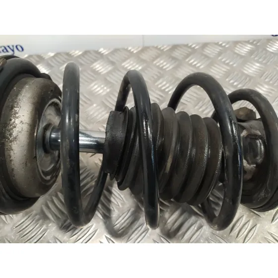 Amortiguador Delantero Derecho para Bmw Serie 3 Berlina (E90)