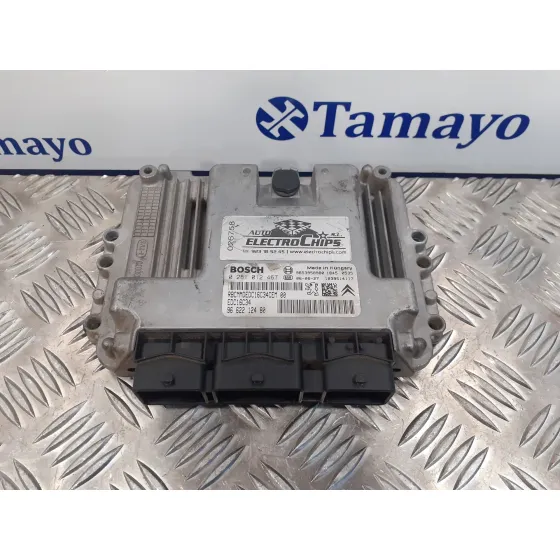 Centralita Motor Uce para Peugeot 207