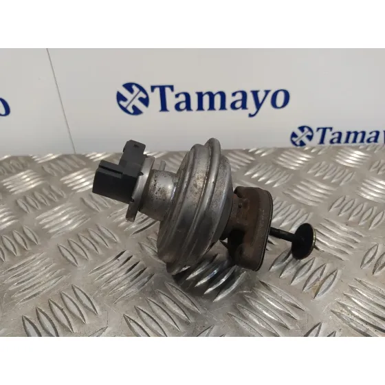 Valvula Egr para Bmw Serie 1 Berlina (E81/E87)