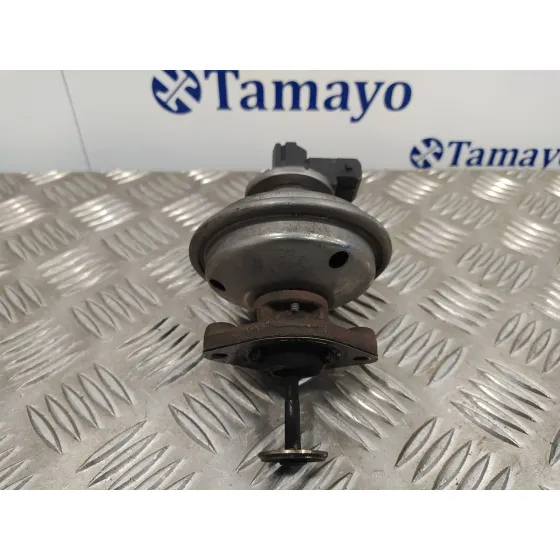 Valvula Egr para Bmw Serie 1 Berlina (E81/E87)