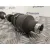 Transmision Delantera Derecha para Suzuki Sx4 Rw (Ey)