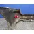 Paragolpes Trasero para Hyundai Santa Fe (Bm)