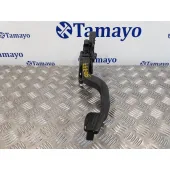 Potenciometro Pedal para Fiat Doblo (119)