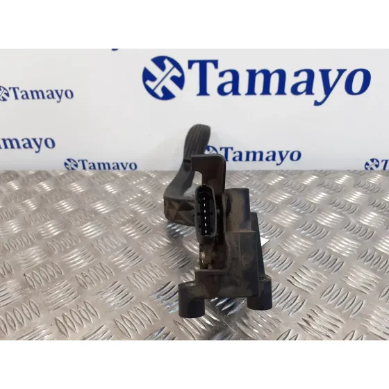 Potenciometro Pedal para Fiat Doblo (119)