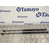 Amortiguadores Maletero / Porton para Opel Corsa D