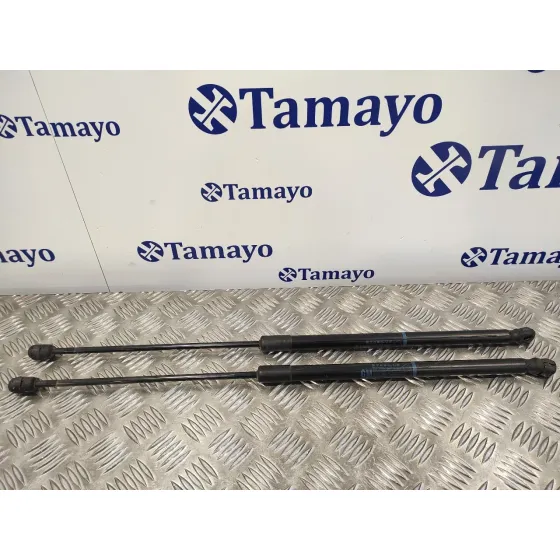 Amortiguadores Maletero / Porton para Opel Corsa D