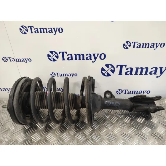 Amortiguador Delantero Izquierdo para Hyundai Santa Fe (Bm)