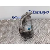 Enfriador Aceite Direccion para Bmw Serie 7 (E65/E66)