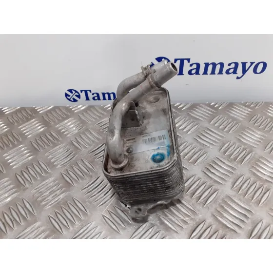 Enfriador Aceite Direccion para Bmw Serie 7 (E65/E66)