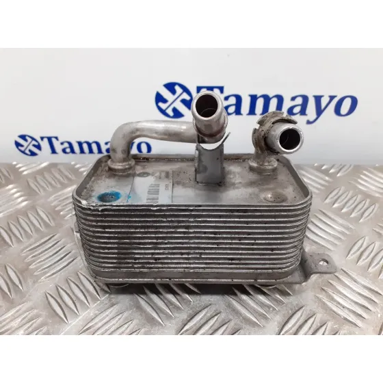 Enfriador Aceite Direccion para Bmw Serie 7 (E65/E66)